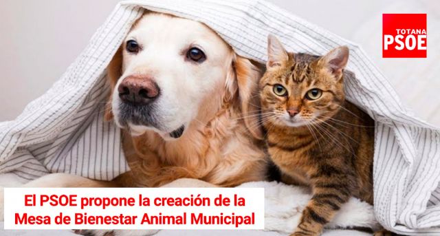 Se creará la Mesa de Bienestar Animal municipal tras la aprobación de la propuesta del Grupo Socialista