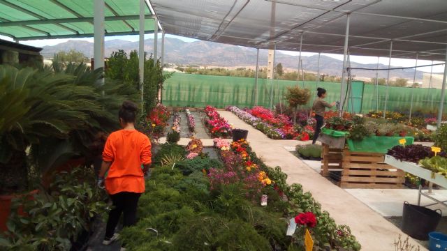 Jóvenes del proyecto 'Labor 2.0: Garantía Juvenil' realizan prácticas de jardinería