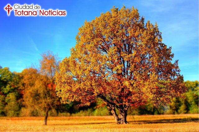 Previsión estacional ¿Cómo será el otoño 2016?